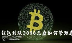 : 数字钱包到账3000元后如何管理和使用