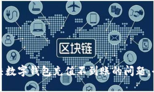 如何解决数字钱包充值不到账的问题:全面指南