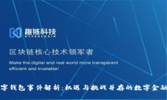 清华数字钱包事件解析：机遇与挑战并