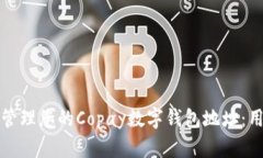 如何安全地管理您的Copay数字钱包地址