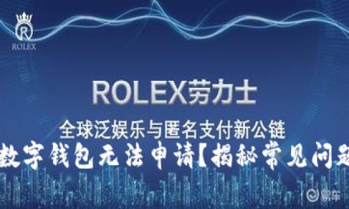 为什么我的数字钱包无法申请?揭秘常见问题及解决方法