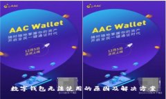 数字钱包无法使用的原因及解决方案