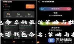 数字钱包命名的最佳策略与技巧如何为