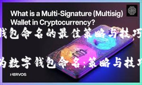 数字钱包命名的最佳策略与技巧

如何为数字钱包命名：策略与技巧指南