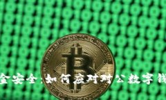 : 保护企业资金安全：如何应对对公数