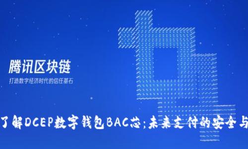 深入了解DCEP数字钱包BAC芯：未来支付的安全与便捷