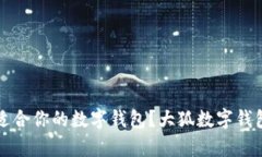 如何选择最适合你的数字钱包？大狐数