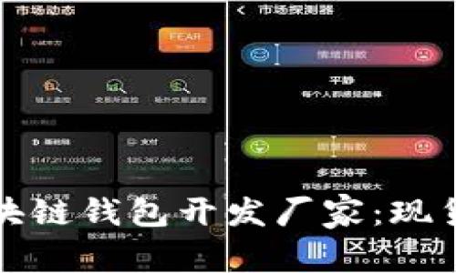 如何选择优质区块链钱包开发厂家:现货与定制的全解析