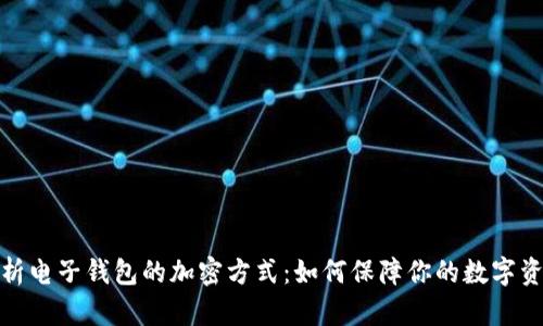 全面解析电子钱包的加密方式：如何保障你的数字资产安全