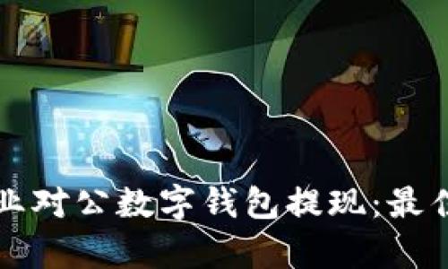 如何高效管理企业对公数字钱包提现:最佳实践与收益分析