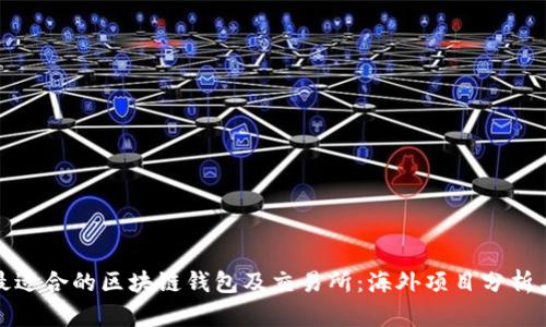 如何选择最适合的区块链钱包及交易所:海外项目分析与用户收益
