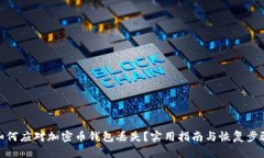 如何应对加密币钱包丢失？实用指南与
