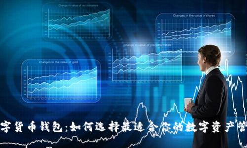 欧美数字货币钱包:如何选择最适合你的数字资产管理工具