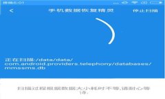 港版数字钱包回流：提升用户支付体验