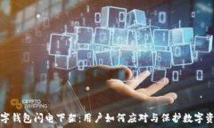   数字钱包闪电下架：用户如何应对与