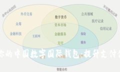 如何选择最适合你的中国数字国际钱包