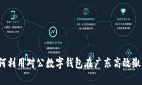 如何利用对公数字钱包在广东高效缴税?