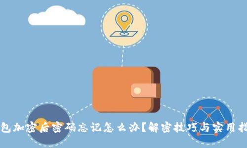 钱包加密后密码忘记怎么办?解密技巧与实用指南