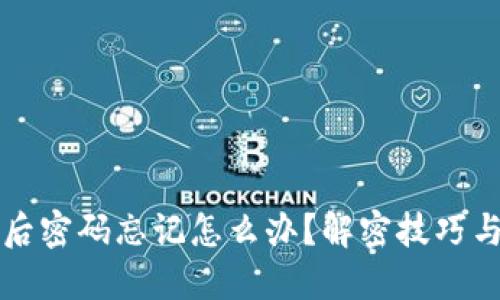 钱包加密后密码忘记怎么办?解密技巧与实用指南