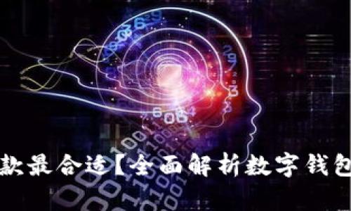 中国数字钱包选哪款最合适?全面解析数字钱包的优势与用户价值