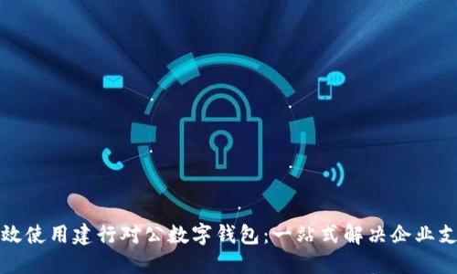 如何高效使用建行对公数字钱包:一站式解决企业支付问题