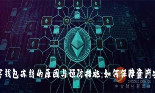 数字钱包冻结的原因与预防措施:如何保障资产安全
