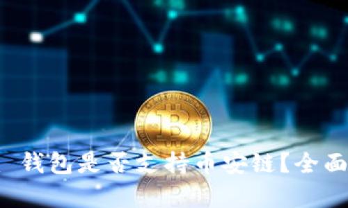 Token Tokenim 钱包是否支持币安链？全面解析及使用指南