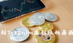 MDX币转账到Tokenim未到账的原因及解决方法