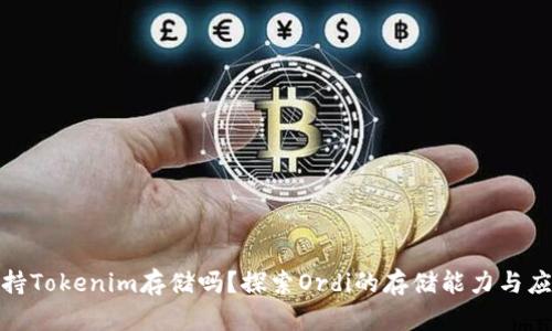 Ordi支持Tokenim存储吗？探索Ordi的存储能力与应用前景