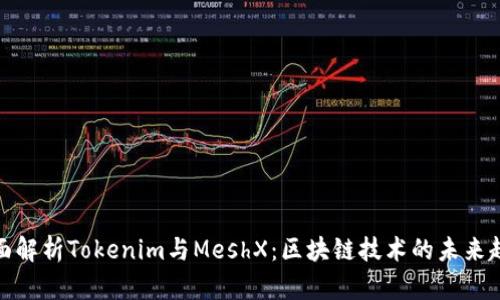 全面解析Tokenim与MeshX：区块链技术的未来趋势