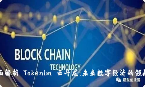 全面解析 Tokenim 云斗龙：未来数字经济的领航者