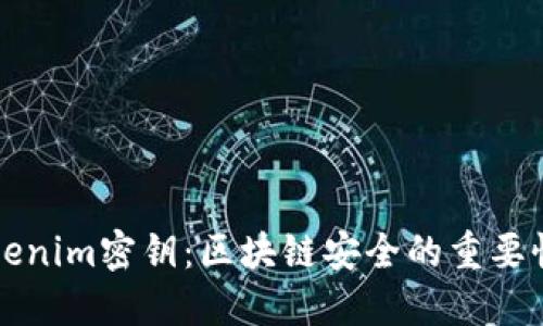 深入探讨Tokenim密钥：区块链安全的重要性与使用指南