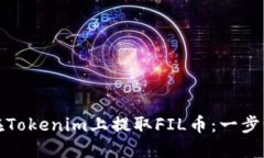 如何在Tokenim上提取FIL币：一步步详解