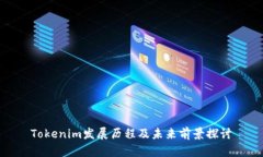 Tokenim发展历程及未来前景探讨