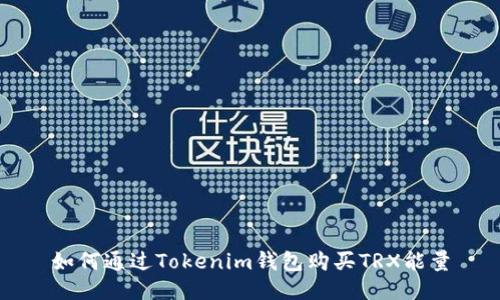 如何通过Tokenim钱包购买TRX能量