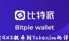 公信宝GXS提币到Tokenim的详细指南