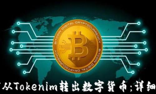 
如何从Tokenim转出数字货币：详细指南