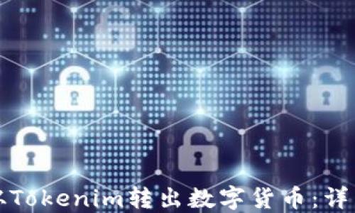 
如何从Tokenim转出数字货币：详细指南