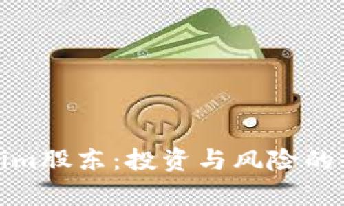 : Tokenim股东：投资与风险的全面解析