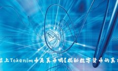 能上Tokenim币是真币吗？揭秘数字货币的真相