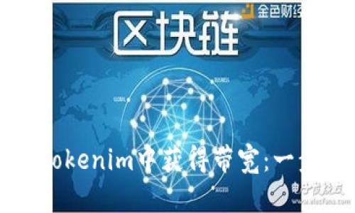 如何在Tokenim中获得带宽：一步步指南