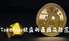 解析Tokenim被盗的原因及防范措施