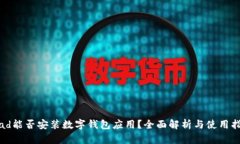 iPad能否安装数字钱包应用？全面解析与使用指南