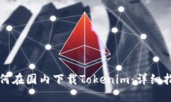 如何在国内下载Tokenim：详细指南