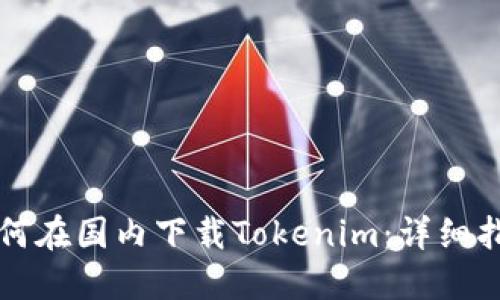 如何在国内下载Tokenim:详细指南