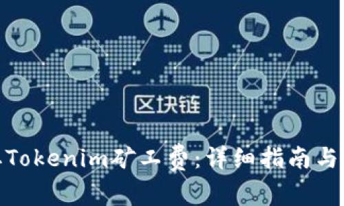 如何获取Tokenim矿工费:详细指南与实践经验