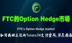 如何找回忘记的TokenIM支付密码：详尽