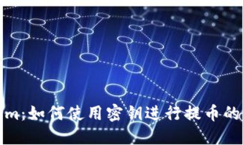 : Tokenim:如何使用密钥进行提币的全面指南