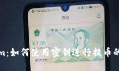 : Tokenim：如何使用密钥进行提币的全面