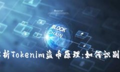 深入解析Tokenim盗币原理：如何识别与
